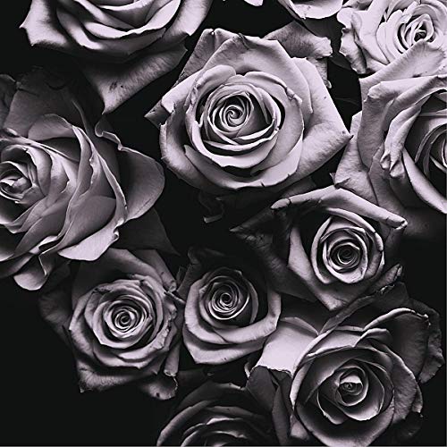 Black and white photograph of several tightly-budded roses.