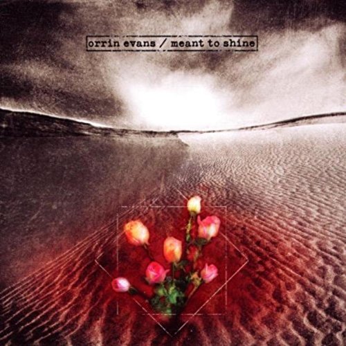"Album cover with roses in sand, cloudy sky, and artist's name at the top."
