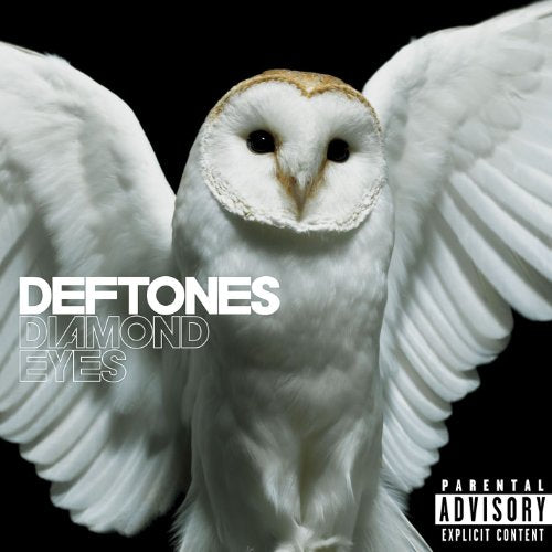 "Album cover featuring a white owl with outstretched wings against a black background."