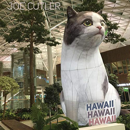 CD cover featuring a large, painted cat statue in an airport setting.