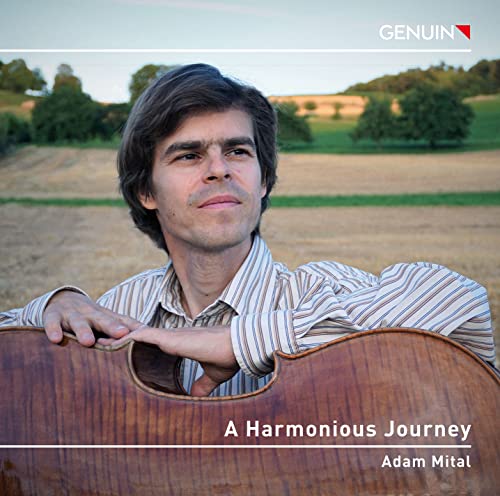 Classical musician Adam Mital with a violin, landscape background.