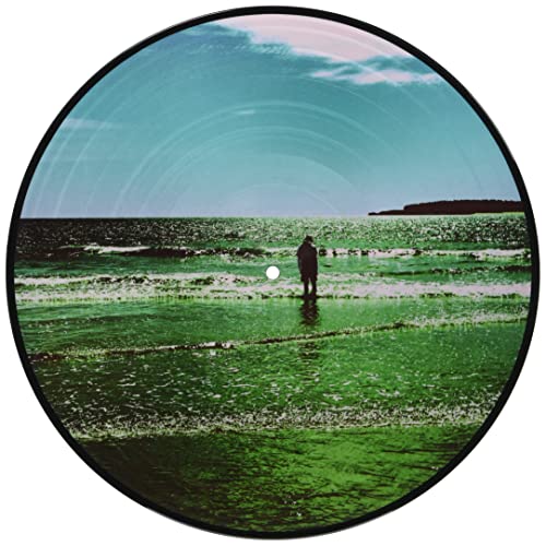 Vinyl record with a coastal landscape and a lone figure.