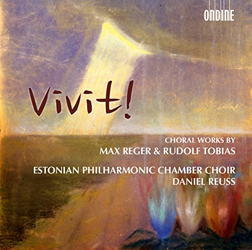 "CD cover with abstract painting and text 'Vivit!' in red, white details below."