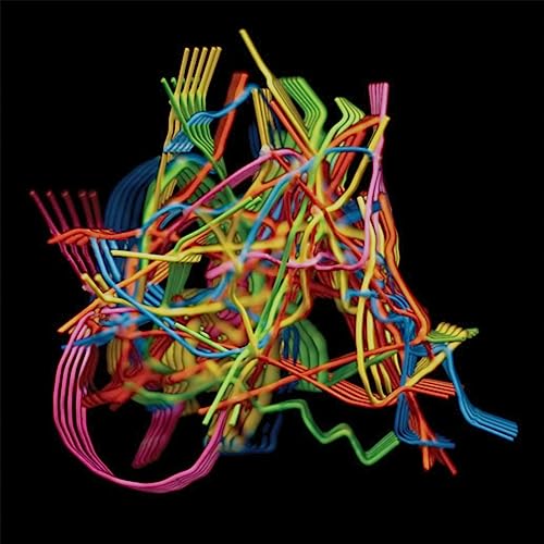 Colorful, abstract lines forming a vaguely human shape against black.