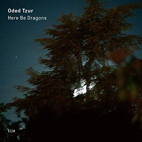 "Album cover with dark tree branches against a night sky, moonlight peeking through."