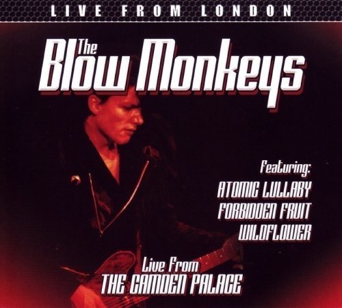 The Blow Monkeys live album cover featuring a man playing guitar and singing.
