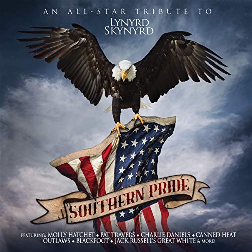 Bald eagle perched on an American flag with "Southern Pride" banner against cloudy sky.