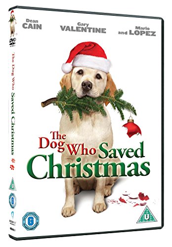 DVD cover featuring a golden retriever wearing a Santa hat.