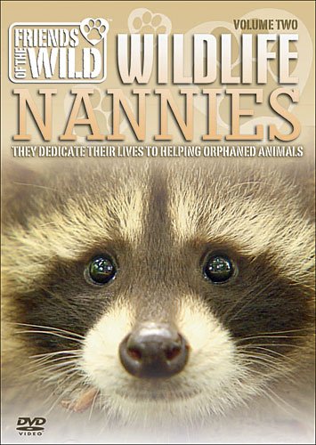 DVD cover featuring a close-up of a young raccoon's face with large eyes.