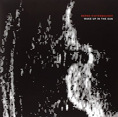 Vinyl record cover with distorted white image on black background, titled "Wake Up In The Sun".