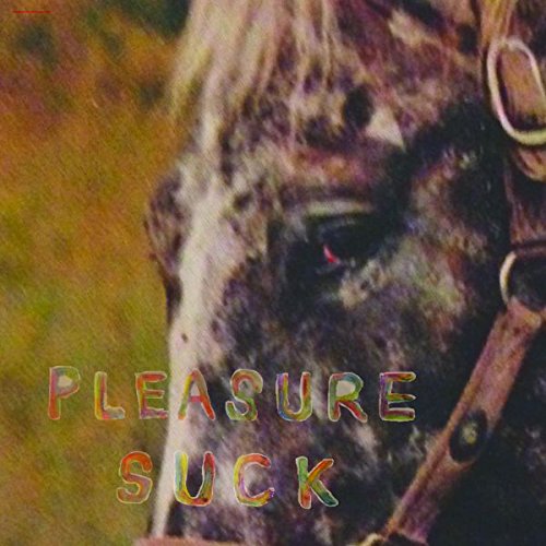 "CD cover featuring a close-up of a horse's face with 'PLEASURE SUCK' text overlay."