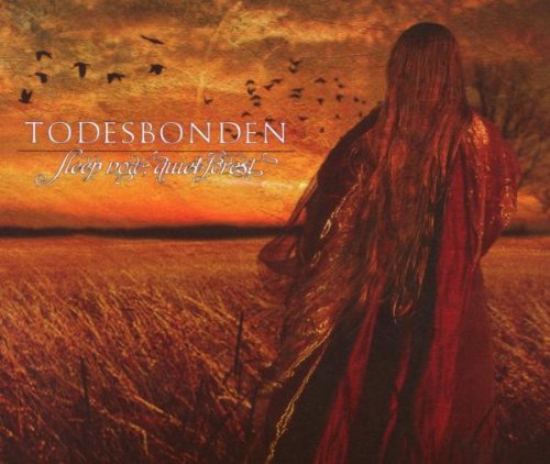 CD cover: woman with long hair facing a misty, golden landscape.