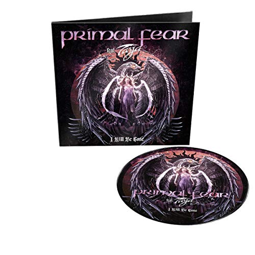 Vinyl record and center label featuring a dark, winged figure.