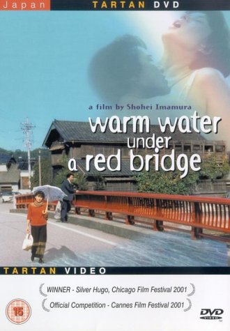 DVD cover for “Warm Water Under A Red Bridge” featuring a woman and bridge.