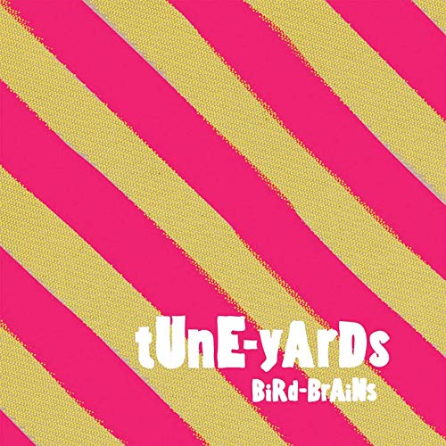 CD cover for Tune-yards’ “Bird-Brains” with pink and gold stripes.