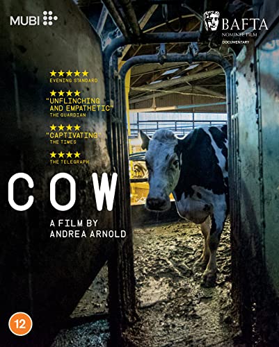 Blu-ray cover for documentary "Cow" featuring a cow in a barn.