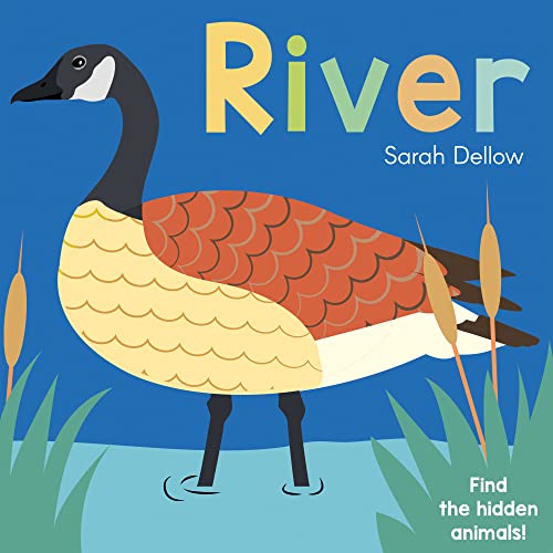 Now you See It! River: 4 (Now You See It!, 4)