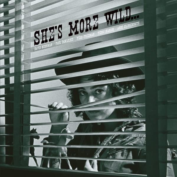Black and white vinyl album cover featuring a person viewed through blinds.