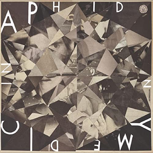 Vinyl record cover: abstract geometric design with a fragmented face.
