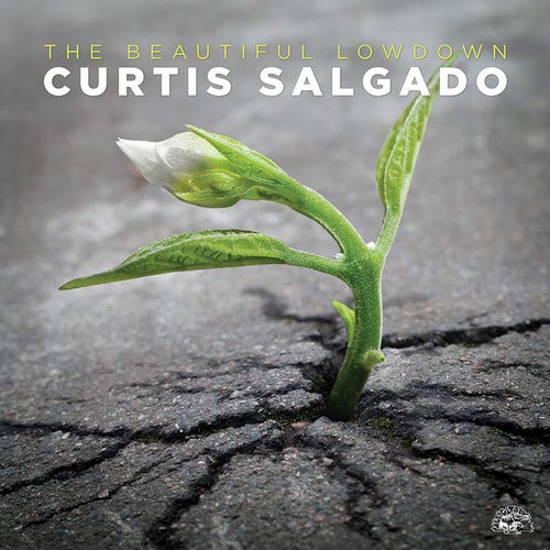 Curtis Salgado album cover featuring a sprouting plant through cracked asphalt.