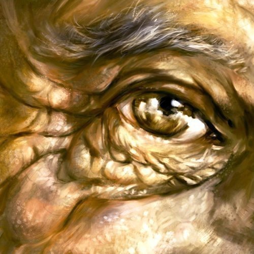 "CD cover art featuring a close-up of an aged eye with Amazon logo."