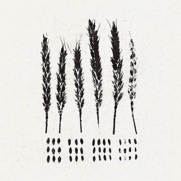 Black and white illustration of wheat stalks and scattered seeds.