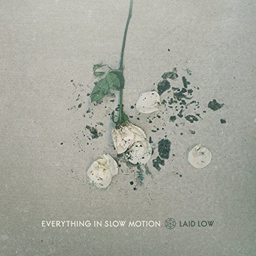 Album cover: wilting white rose on textured gray background.