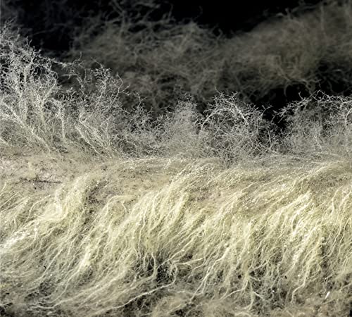 Abstract, textured image of pale, branching shapes against dark background.