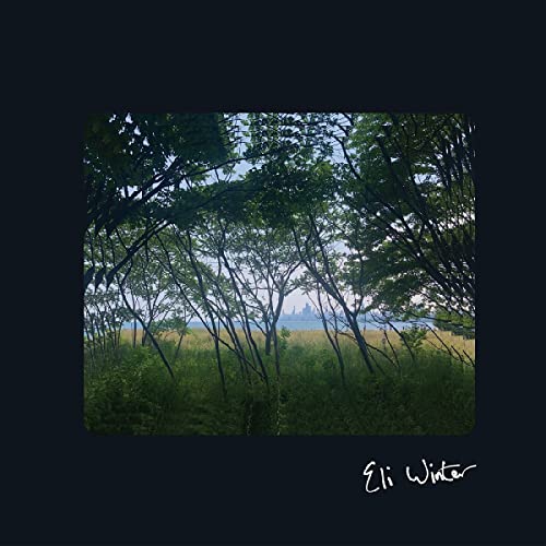 Album cover for Eli Winter featuring trees and a distant landscape.