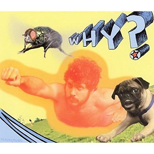 "Album cover with man, pug dog, and fly against a yellow background."