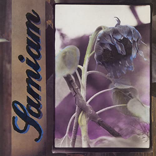 Album cover for Samiam featuring a faded, drooping purple flower.