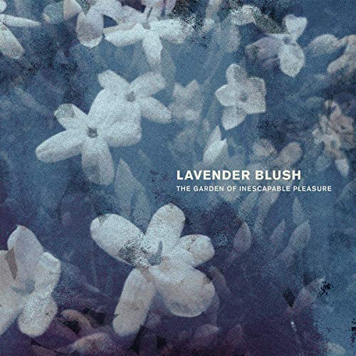 Vinyl record cover with blurry white flowers on a blue background.