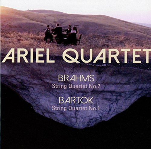 A CD cover featuring a string quartet playing on a rocky hillside.