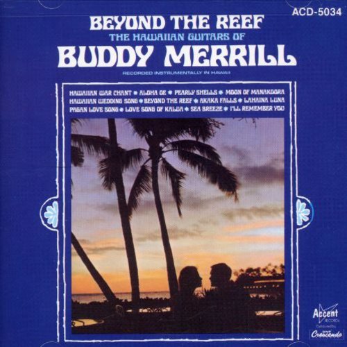 "Album cover with blue background, palm trees, and couple at sunset."