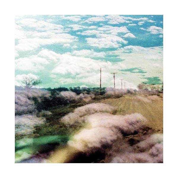 Cloudy sky over a rural landscape with power lines and foliage.