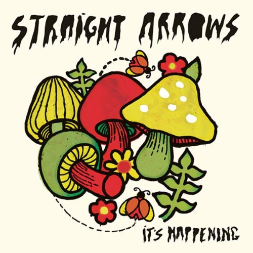 Album cover for Straight Arrows’ “It’s Happening” featuring colorful mushrooms and insects.