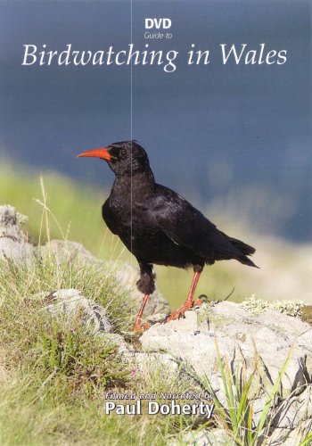 DVD cover featuring a black bird with orange beak and legs on a rocky outcrop.