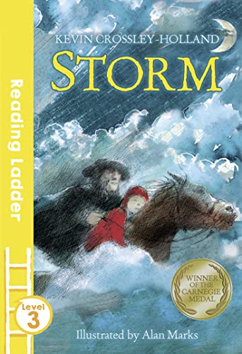 Storm (Reading Ladder Level 3)