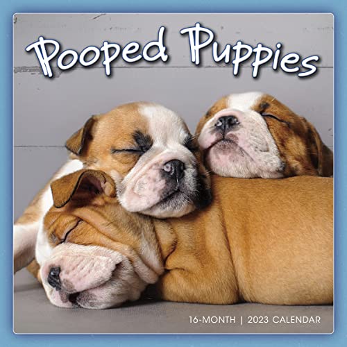 Pooped Puppies September 2022-December 2023 Calendar (WALL 16 MONTH)
