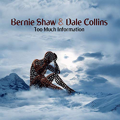 A vinyl album cover with a wire mesh figure sitting on snowy mountains.