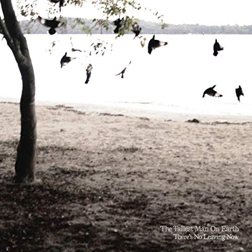 CD cover: birds in flight over water and shoreline.