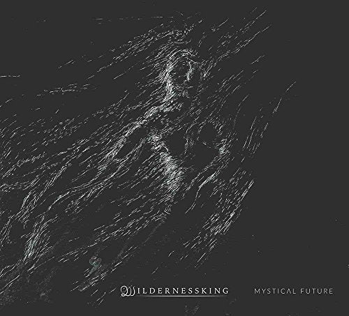 Dark abstract art with a figure, album title "Wildernessking - Mystical Future".