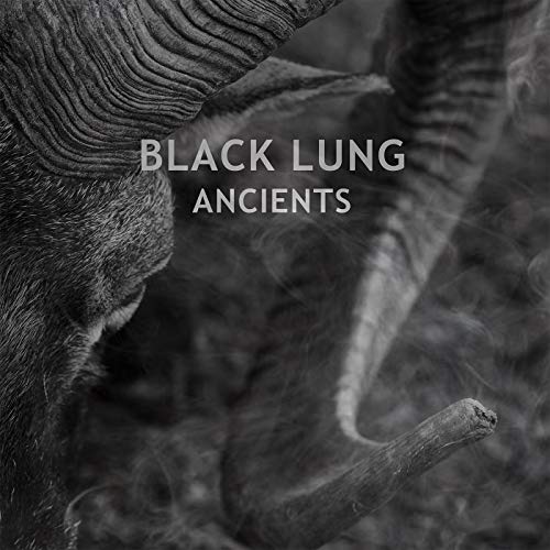 Black and white album cover featuring an elephant’s wrinkled skin.