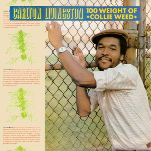 "Album cover with man leaning on a chain-link fence, wearing a hat and striped shirt."