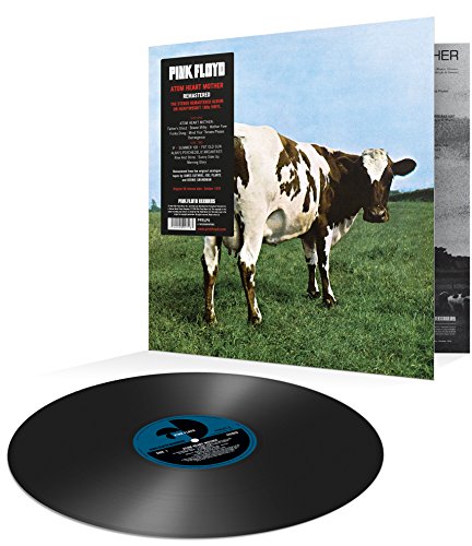 "Black and white cow standing in a green field, facing right, under a blue sky."