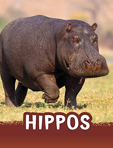Hippos (Animals)