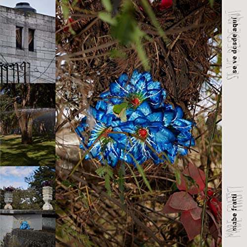 CD cover with blue flowers, building fragments, and garden scenes.