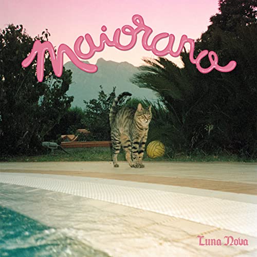 Album cover: cat walking by a pool with mountains in background.