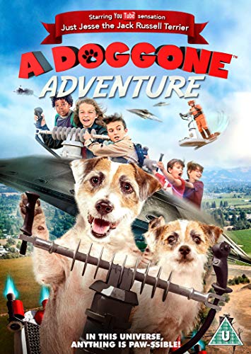 DVD cover for "A Doggone Adventure" featuring a dog and children.