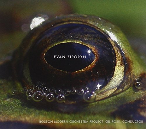 "CD cover featuring a close-up of a green frog's eye with text overlay."